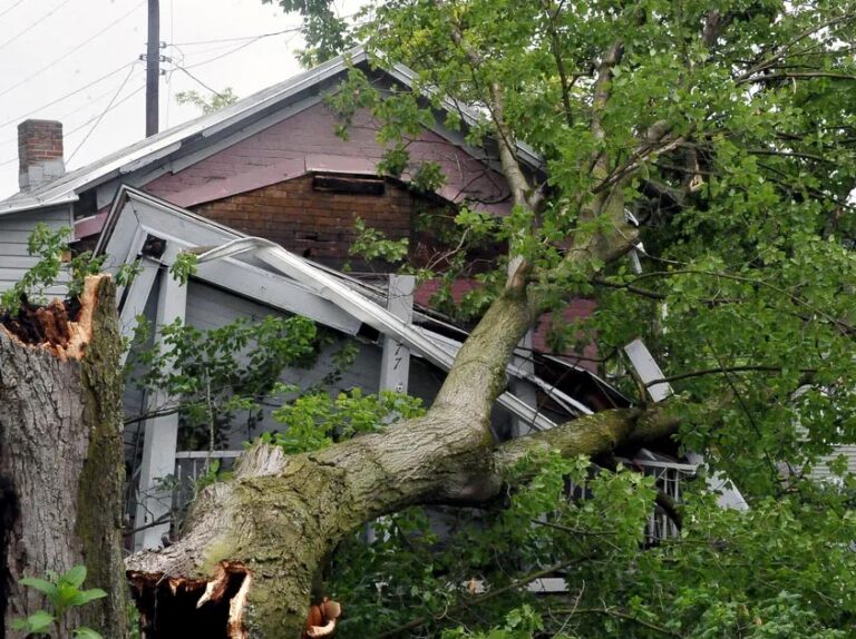 Storm Damage